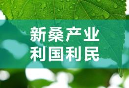 新桑產(chǎn)業(yè),，利國利民